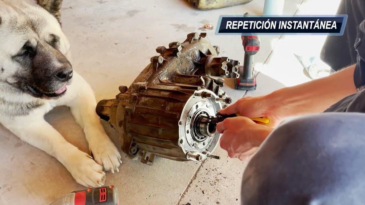 Cherokee 95 | Cambio de transfer NP 242J a NP 231J