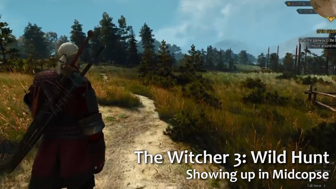 The Witcher 3: Wild Hunt - Visiting Midcopse