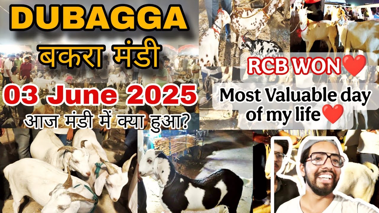 Lucknow Dubagga Bakra Mandi 2025 | RCB Special ❤️ | आज मैं बहुत खुश हूं | बकरा मंडी २०२५