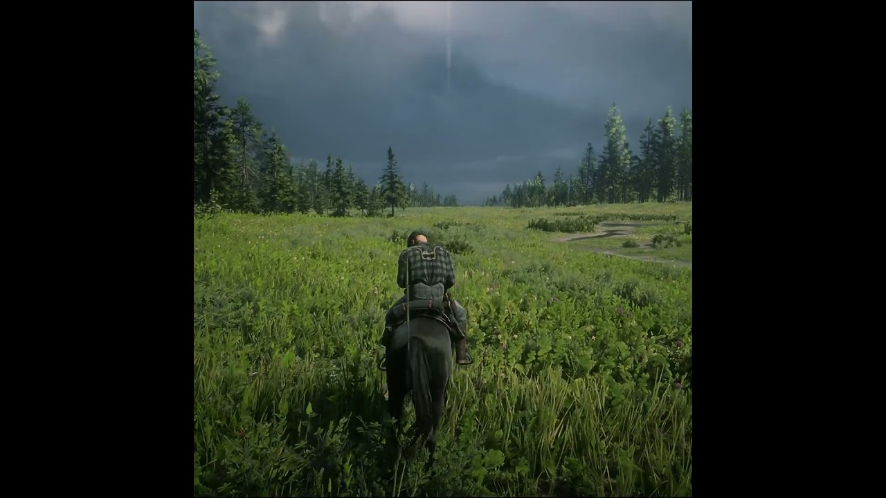 My Horse and I Wild West 🐎🌿 