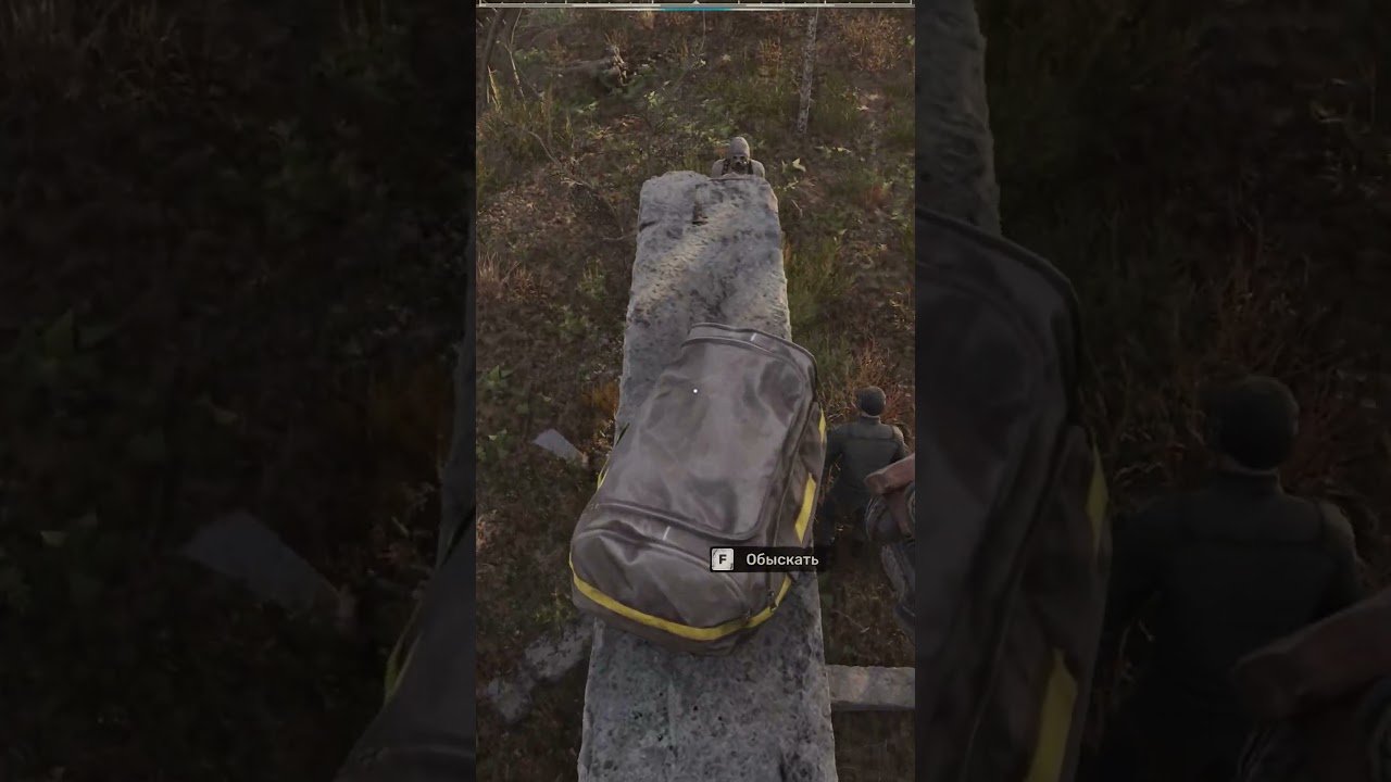☢️ #STALKER2►moments 133