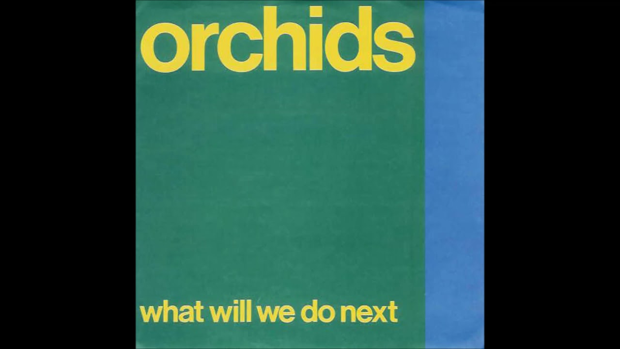 The Orchids - What wil we do next ? EP - 1989