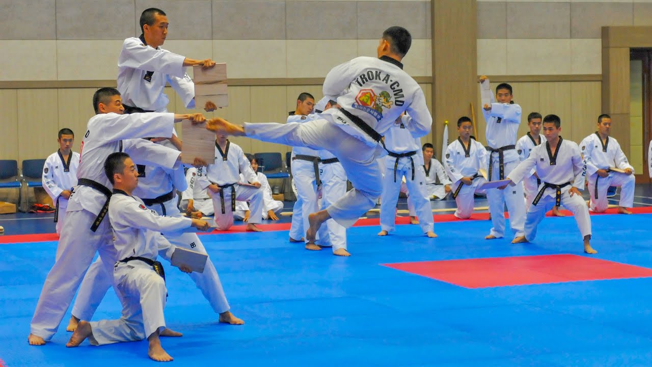 Taekwondo demonstration and back flips HD 2022