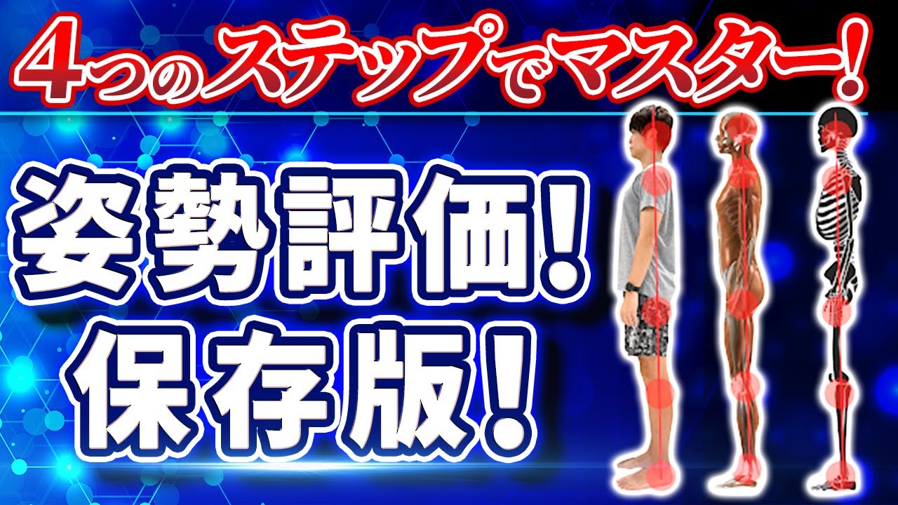 【保存版】姿勢の評価方法！！４つのステップでマスター！