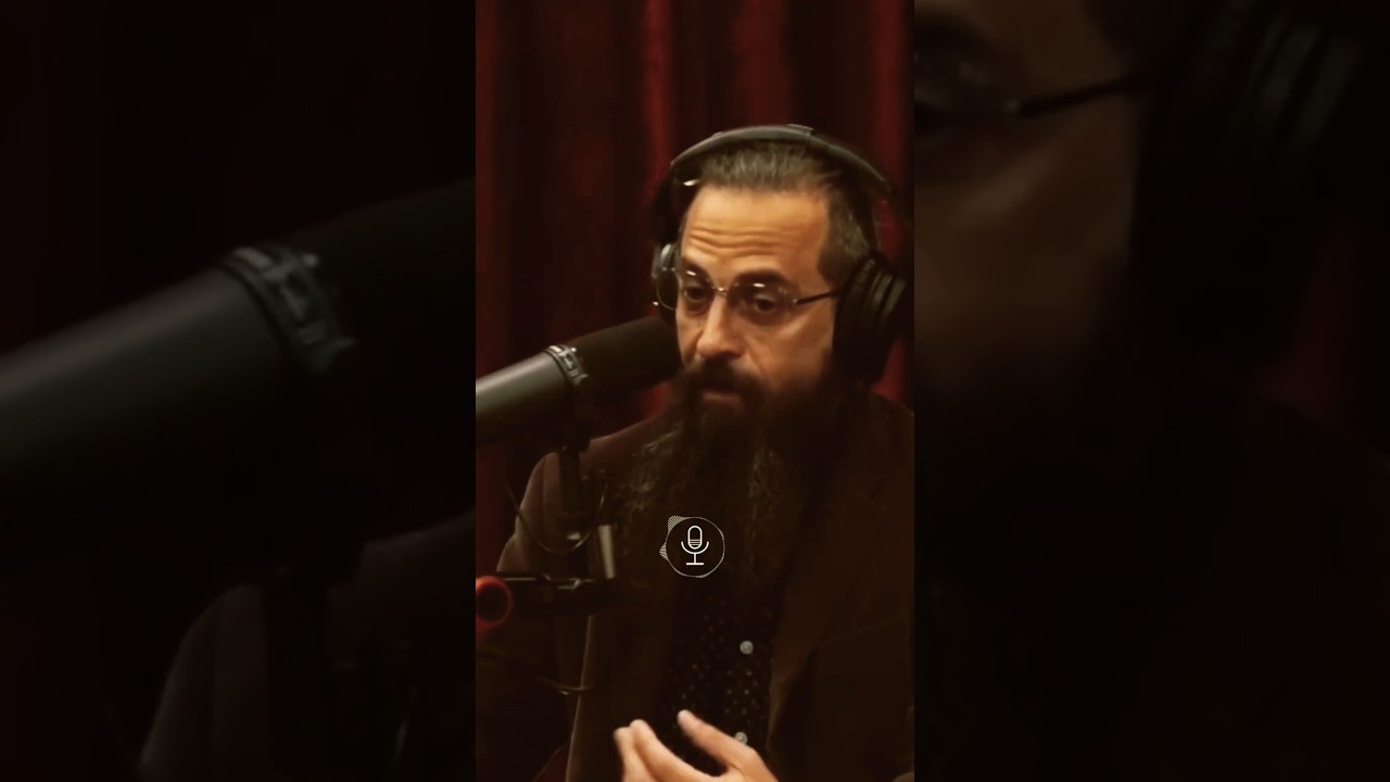 The AI Arms race is real, no one can stop it now? #ai #interview #podcast #joerogan #viral