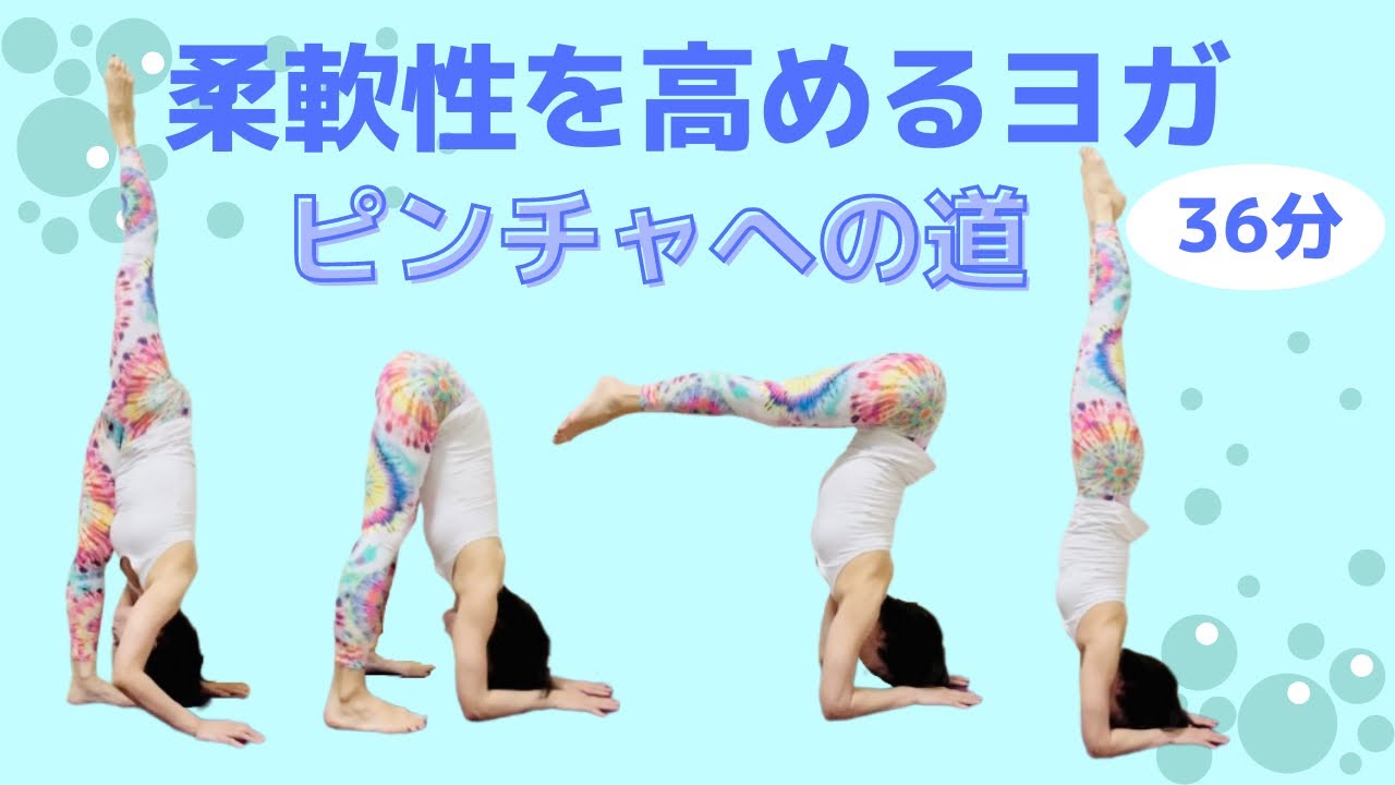 【柔軟性を高めるヨガ36分】ピンチャへの道