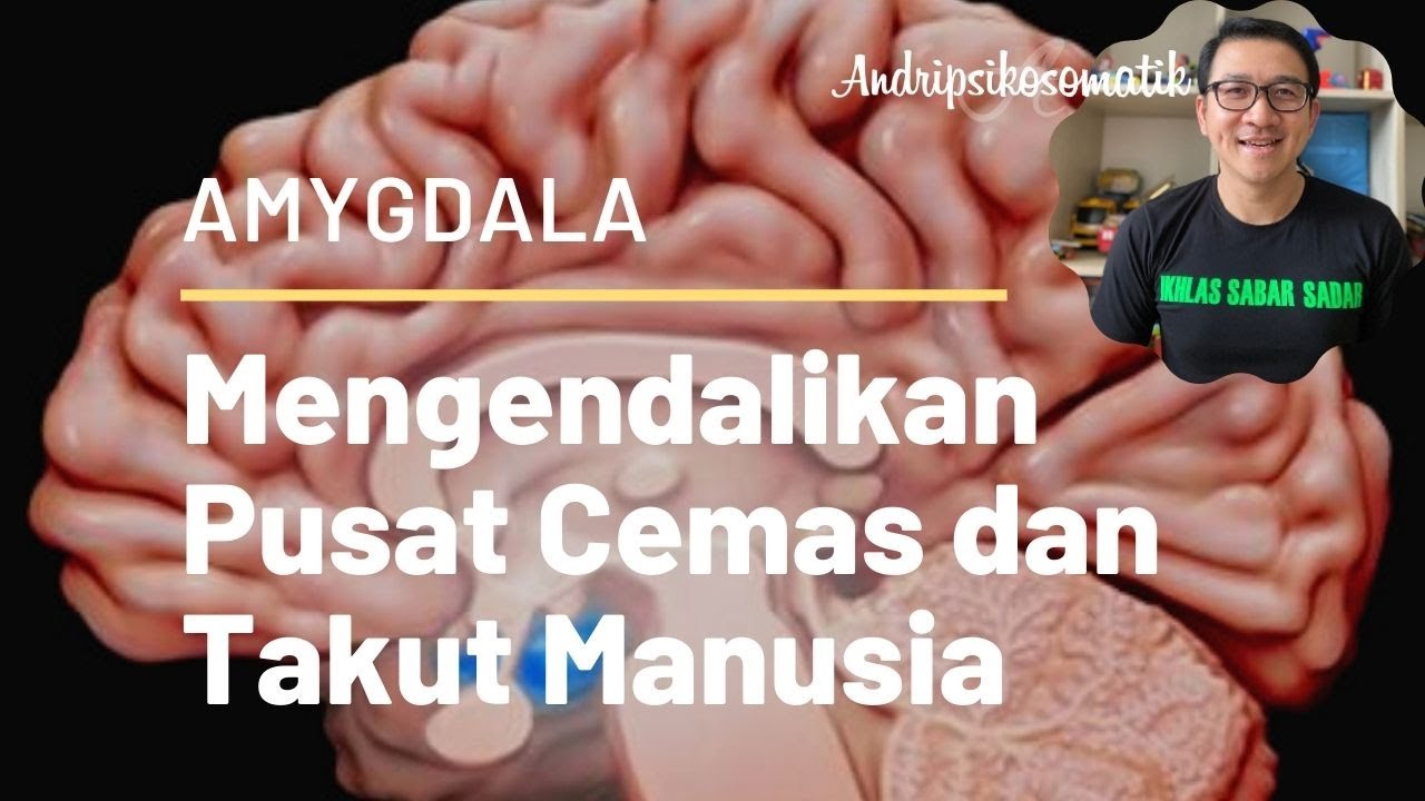 Tips Mengendalikan Pusat Cemas dan takut Manusia : AMYGDALA
