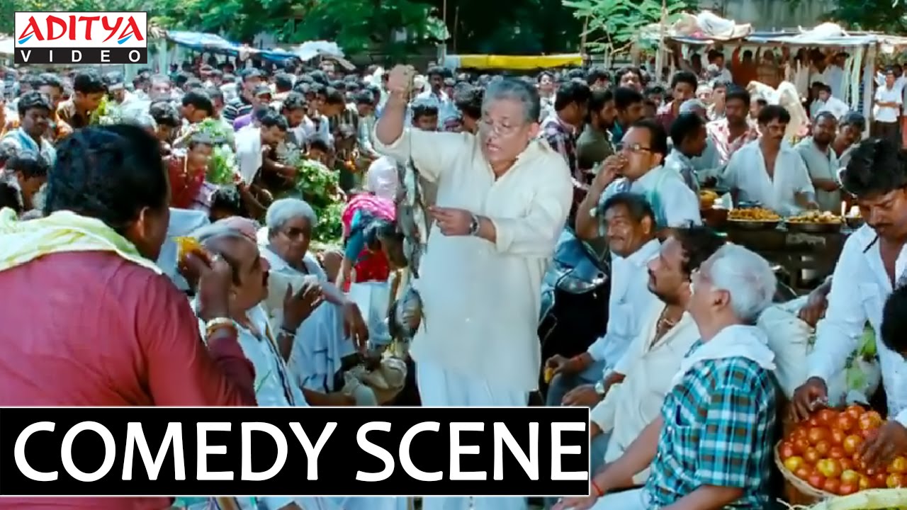 SVSC Movie - Ravi Babu Introduction Funny Scene - Mahesh Babu, Venkatesh