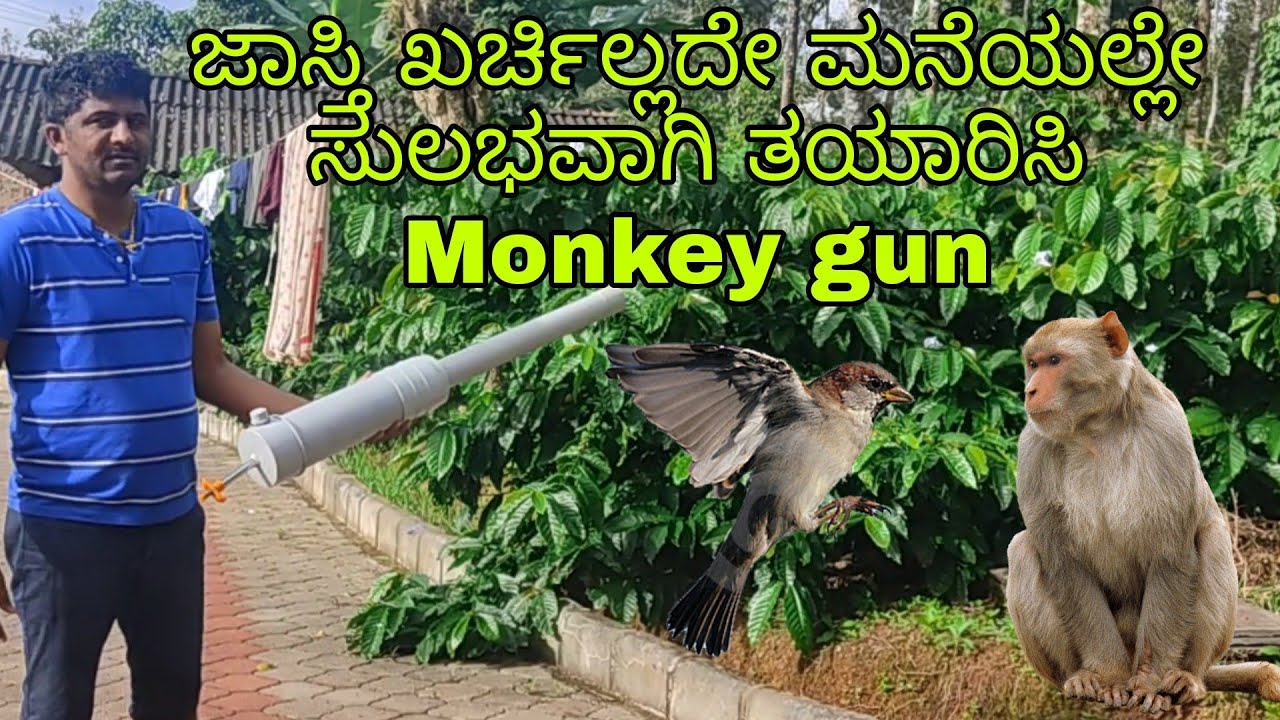 Monkey gun || How make monkey gun at home || ಬೆಳೆ ನಾಶ ಮಾಡುವ ಪ್ರಾಣಿಗಳನ್ನು ಓಡಿಸಲು ಮನೆಯಲ್ಲೇ ತಯಾರಿಸಿ..