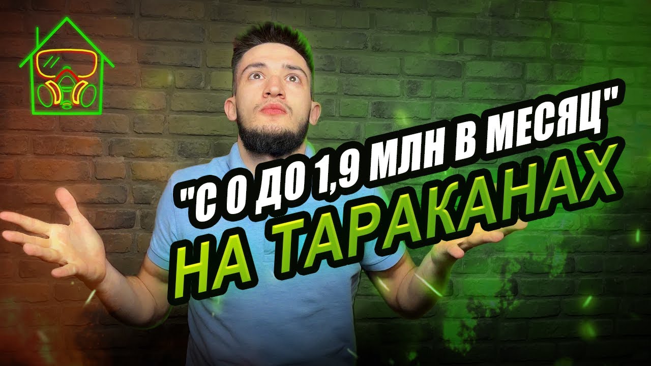 Бизнес на дезинсекции - как расти когда ты только начал ?