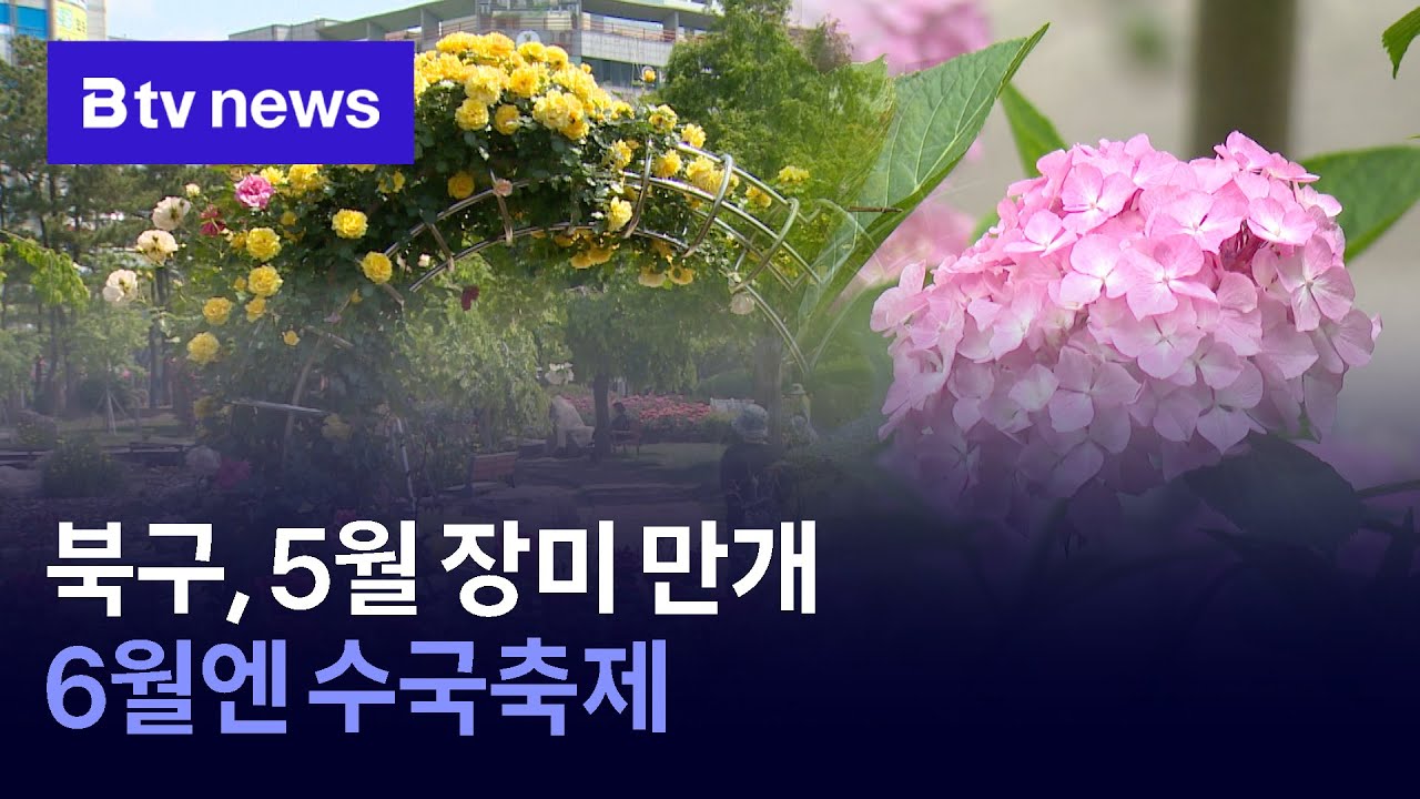 북구, 5월 장미 만개…6월엔 수국축제