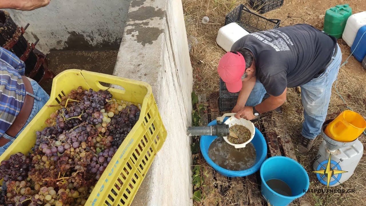 ΣΙΦΝΟΣ_ΠΑΤΗΜΑ ΣΤΑΦΥΛΙΩΝ ΣΕ ΠΑΤΗΤΗΡΙ-KAIPOUTHEOS.GR
