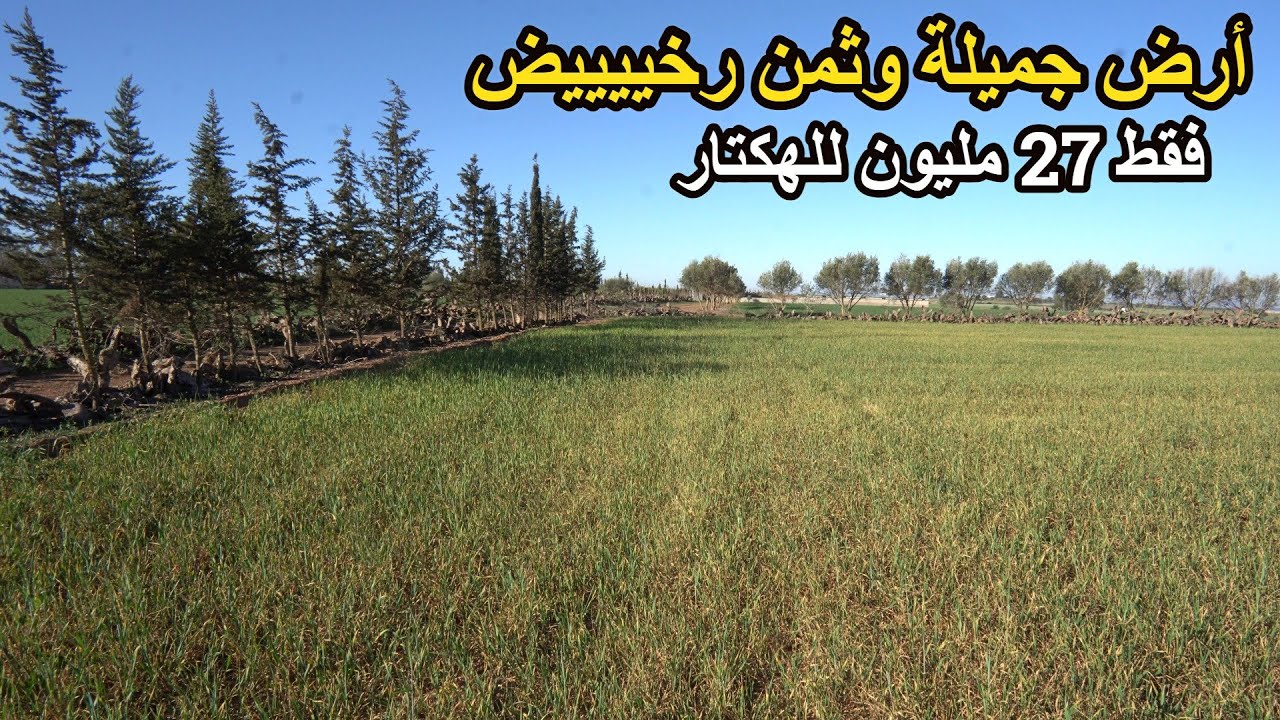 ✨ أرض فلاحية جميلة 3 هكتارات و 3000 متر محفظة بمنطقة رائعة وثمن مميز✨ تيفلت
