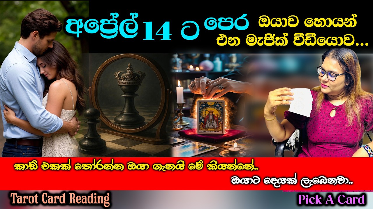 අප්‍රේල් 14 ට පෙර ඔයාව හොයන් එන මැජික් වීඩීයොව | Magical videos coming your way before April 14th