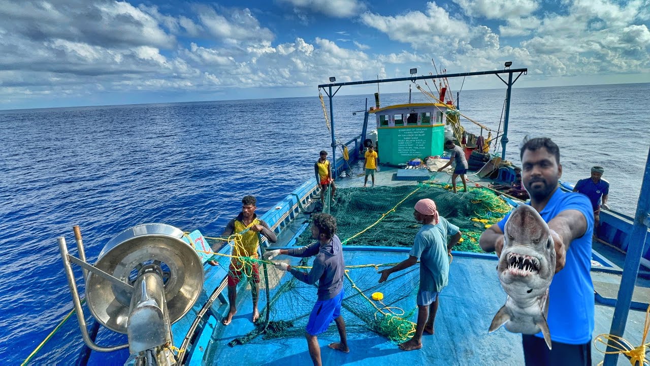 Amazing! On The Third Day We Stayed In The Deep Sea And Caught Tuna|Day-03|Episode-04