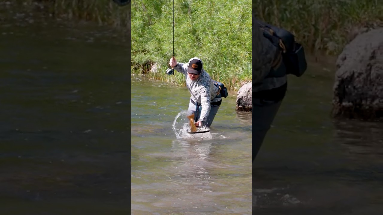 5 Fly Fishing Skills to Master in 2025