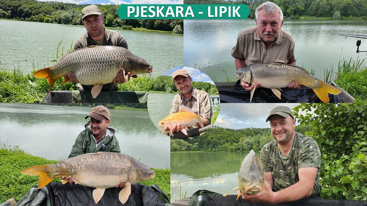 Ribolov &scaron;arana, Pjeskara - Lipik, pozicije 19, 20, 21 i 22