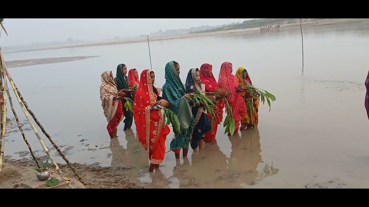 11 फरवरी 2026