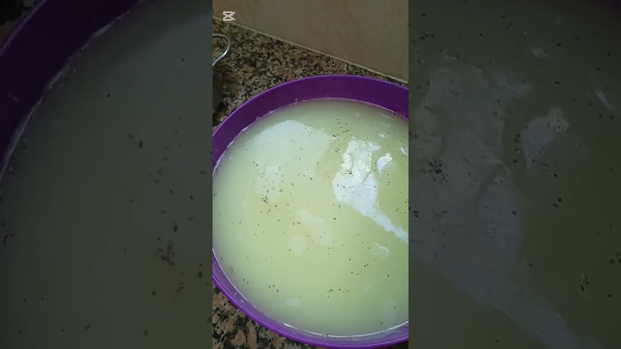 جبن 🧀 منزلي طبيعي %100 وخبز الدار طبيعي