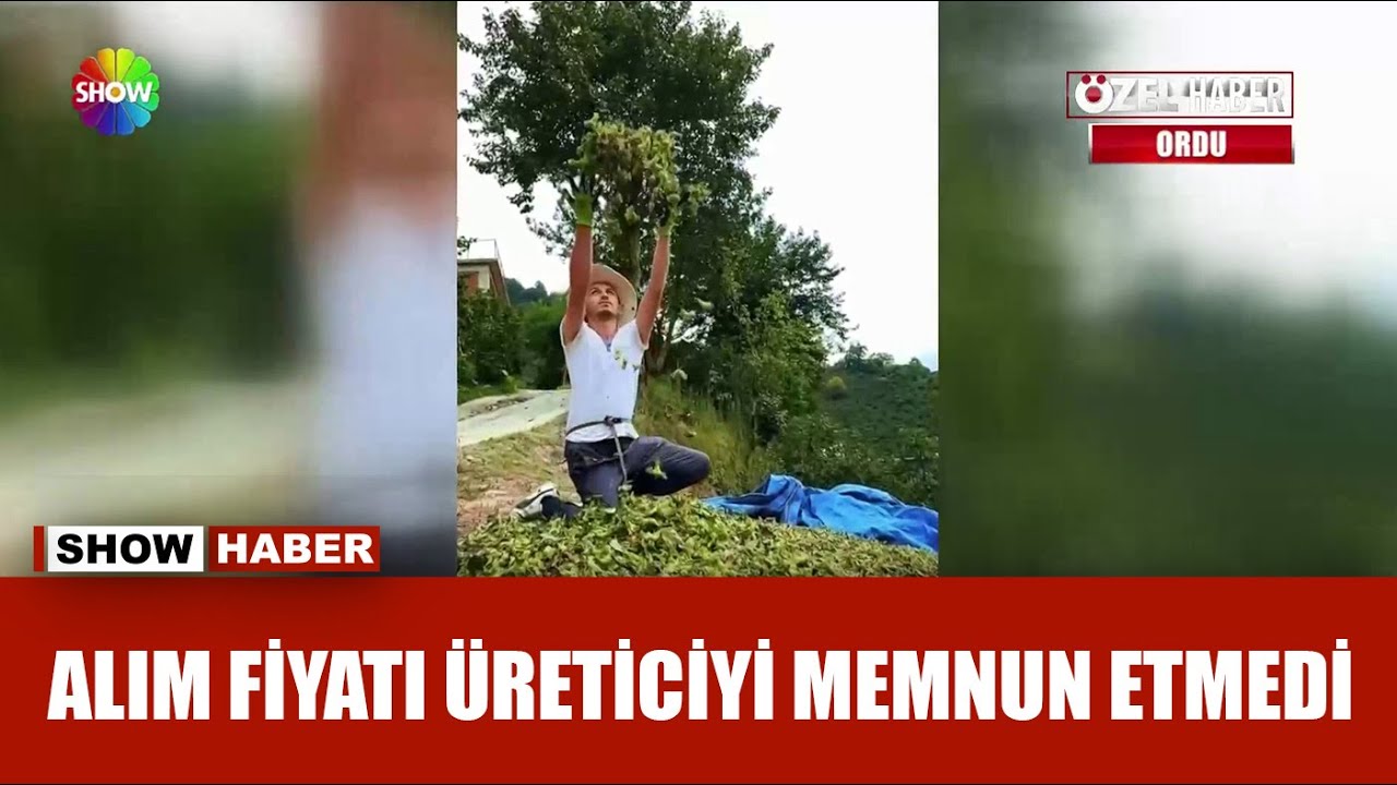 Fındık üreticisinin gülümseten sitemi