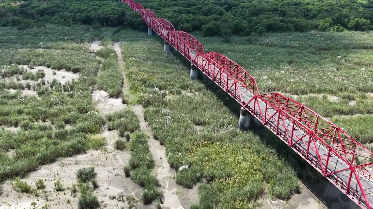 ｜影片｜西螺大橋 甜根子草｜2025年｜