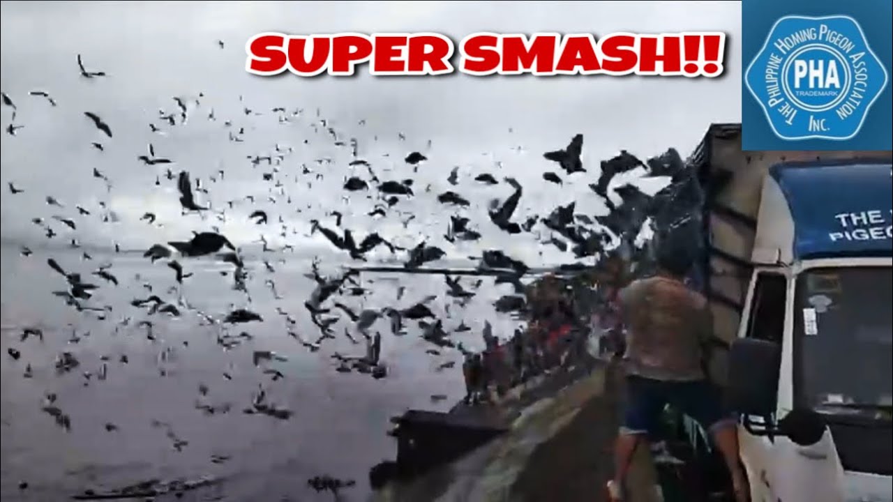 2ND LAP SOUTH DERBY RACE PHA, MASBATE!!