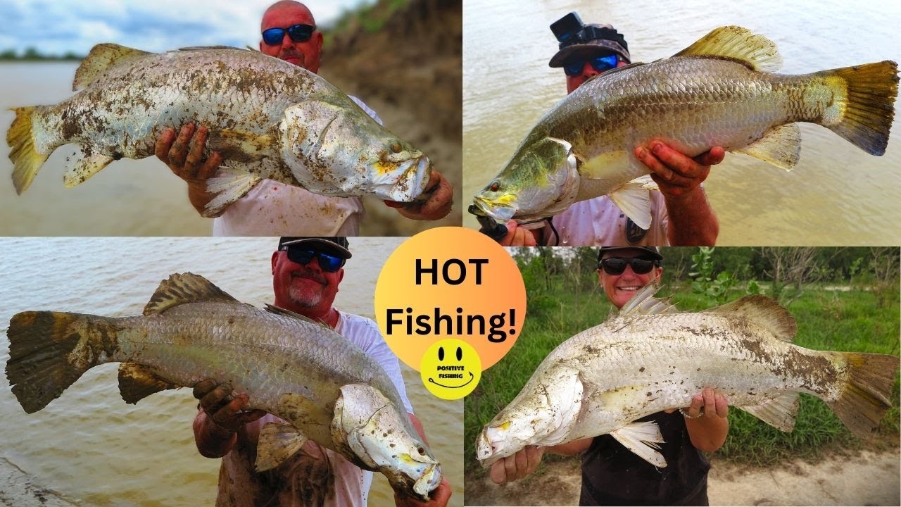 Экстремальная рыбалка на баррамунди (HOT Barramundi Extreme Fishing) / Повышение температуры и вл...