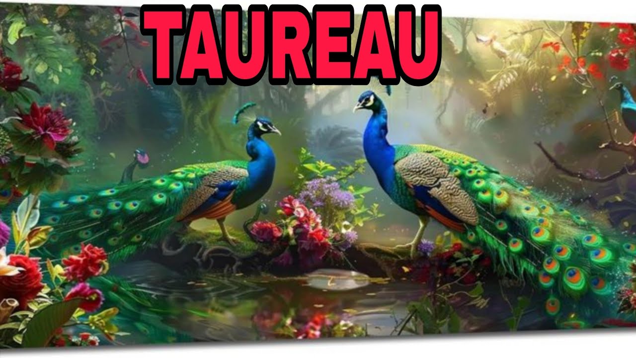 TAUREAU🚨😍 ‼️ TU VAS FINIR AVEC CETTE PERSONNE 🤐💑 | 