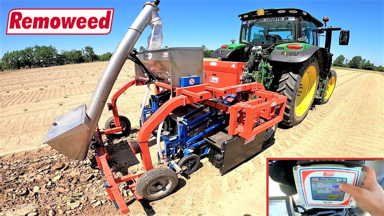 La Rubrica dell'Orticoltore | Sarchiatrice Automatica interfilare e interpianta Ferrari REMOWEED