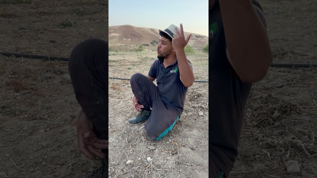 23 سبتمبر 2025