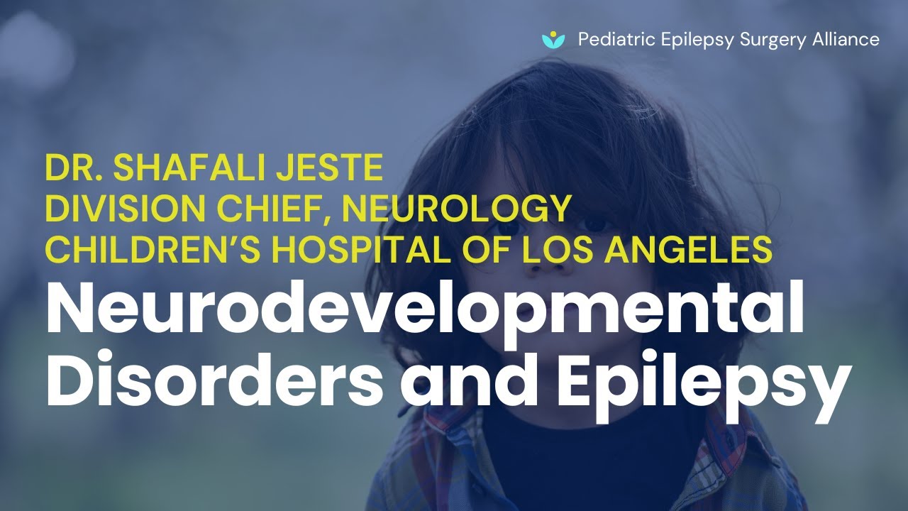 Neurodevelopmental Disorders and Epilepsy