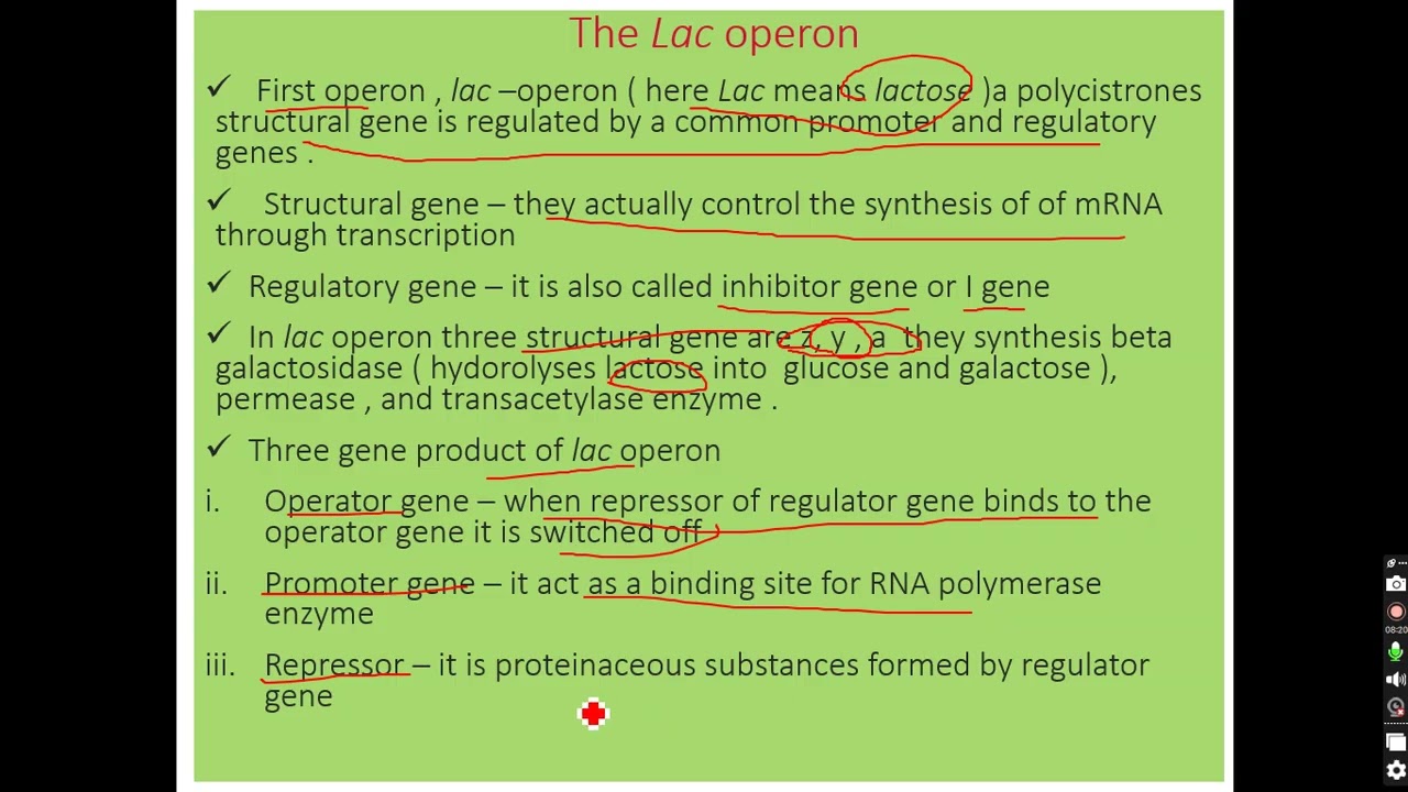 molecular basis of inheritance part 5