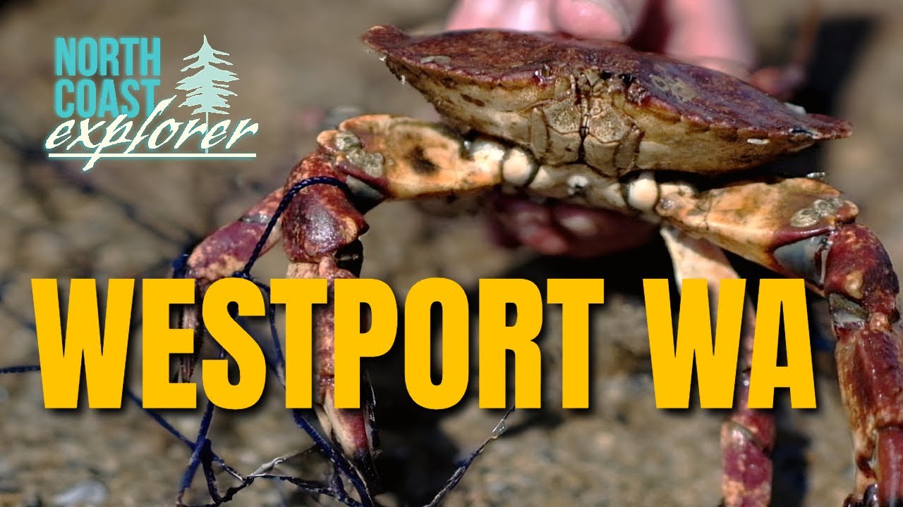 Discover Westport WA