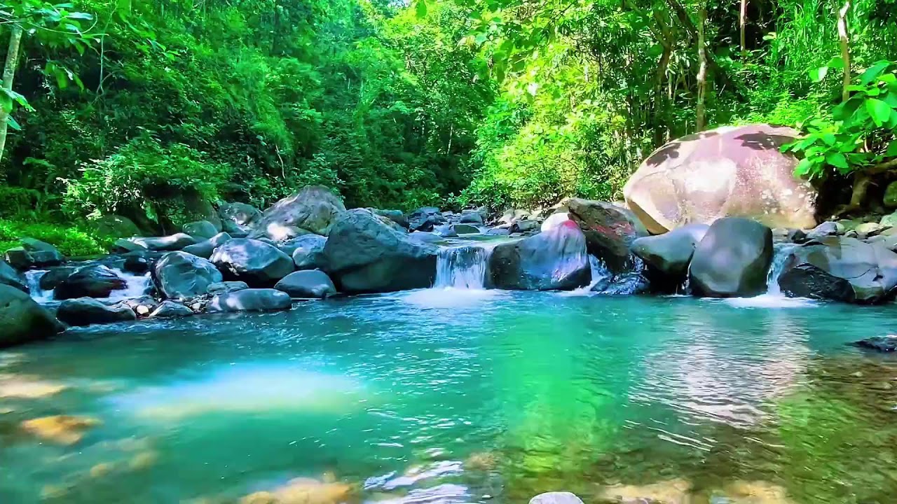 Forest River Natural Water Sounds, Mountain Stream, Sleeping