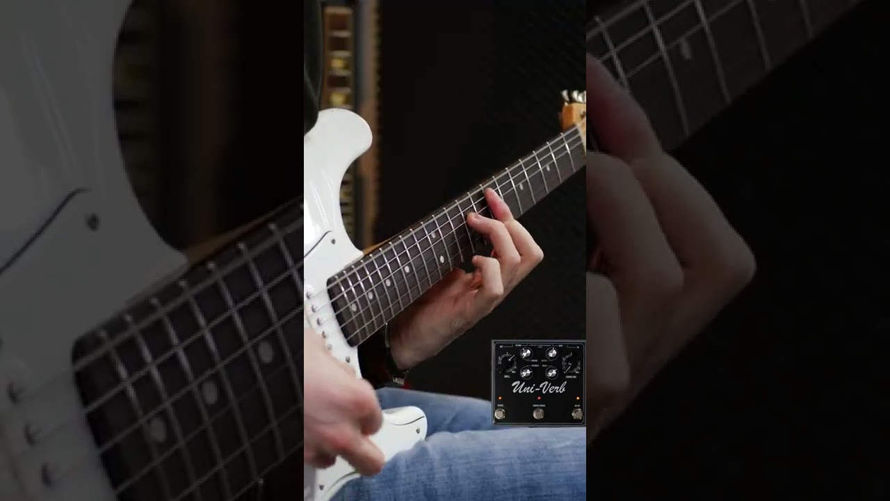 Little Wing - Uni-Verb by J. Rockett Audio Designs