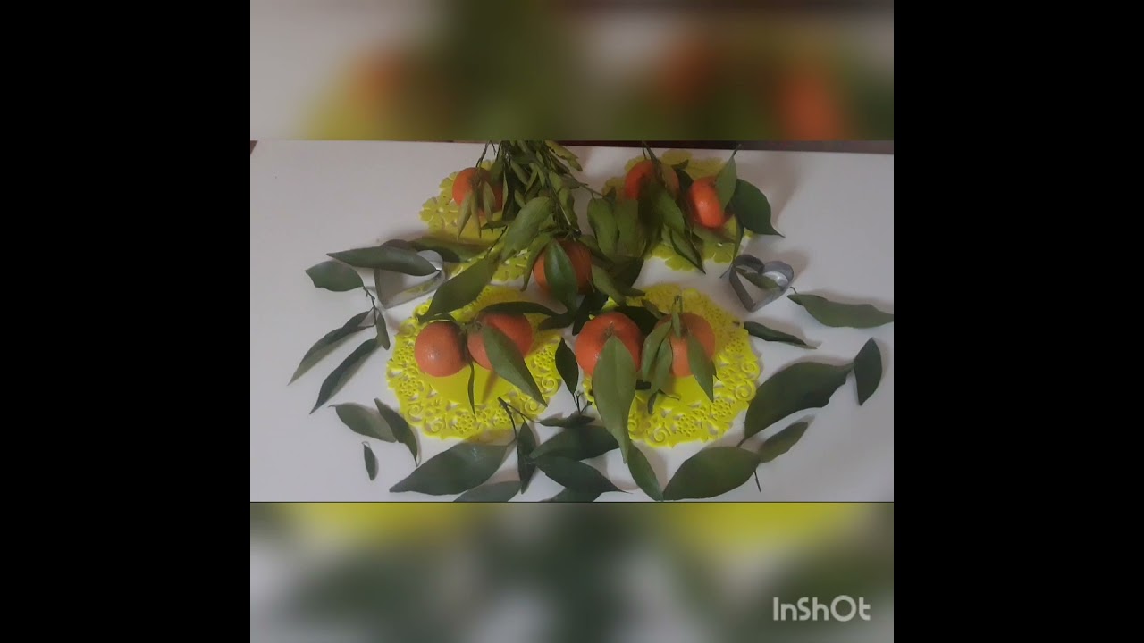 اوراق البرتقال وفوائدها اليك سيدتي 🤗