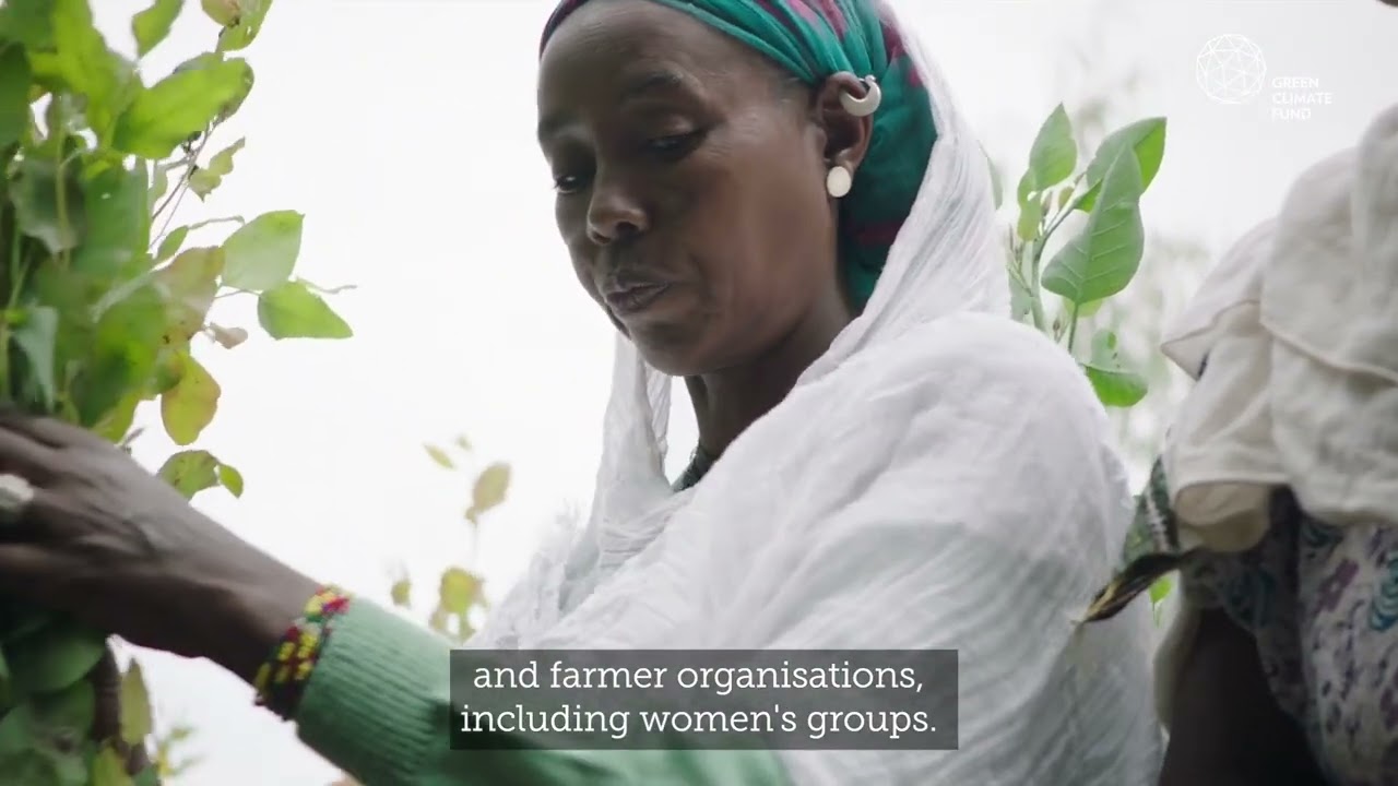 GCF in the Sahel region: Accelerating climate solutions