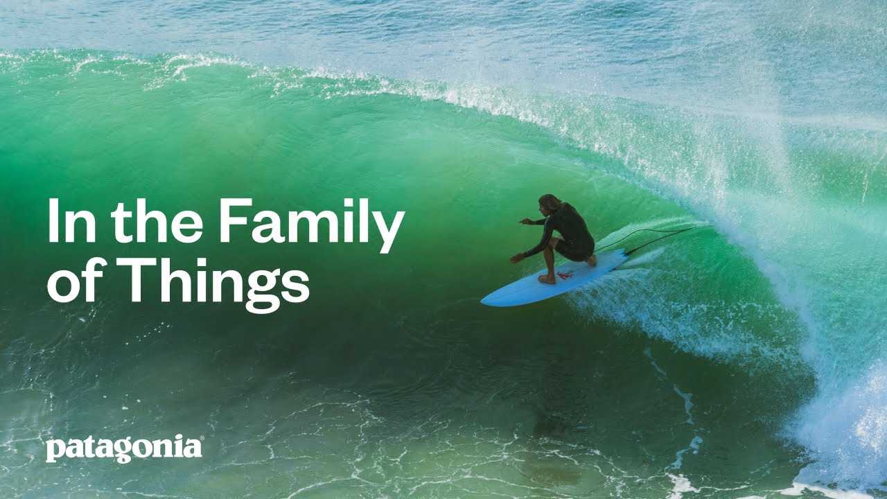 In the Family of Things | Patagonia