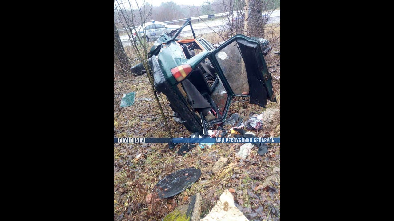 Под Полоцком Volkswagen Passat врезался в дерево: погиб пассажир, есть травмированные