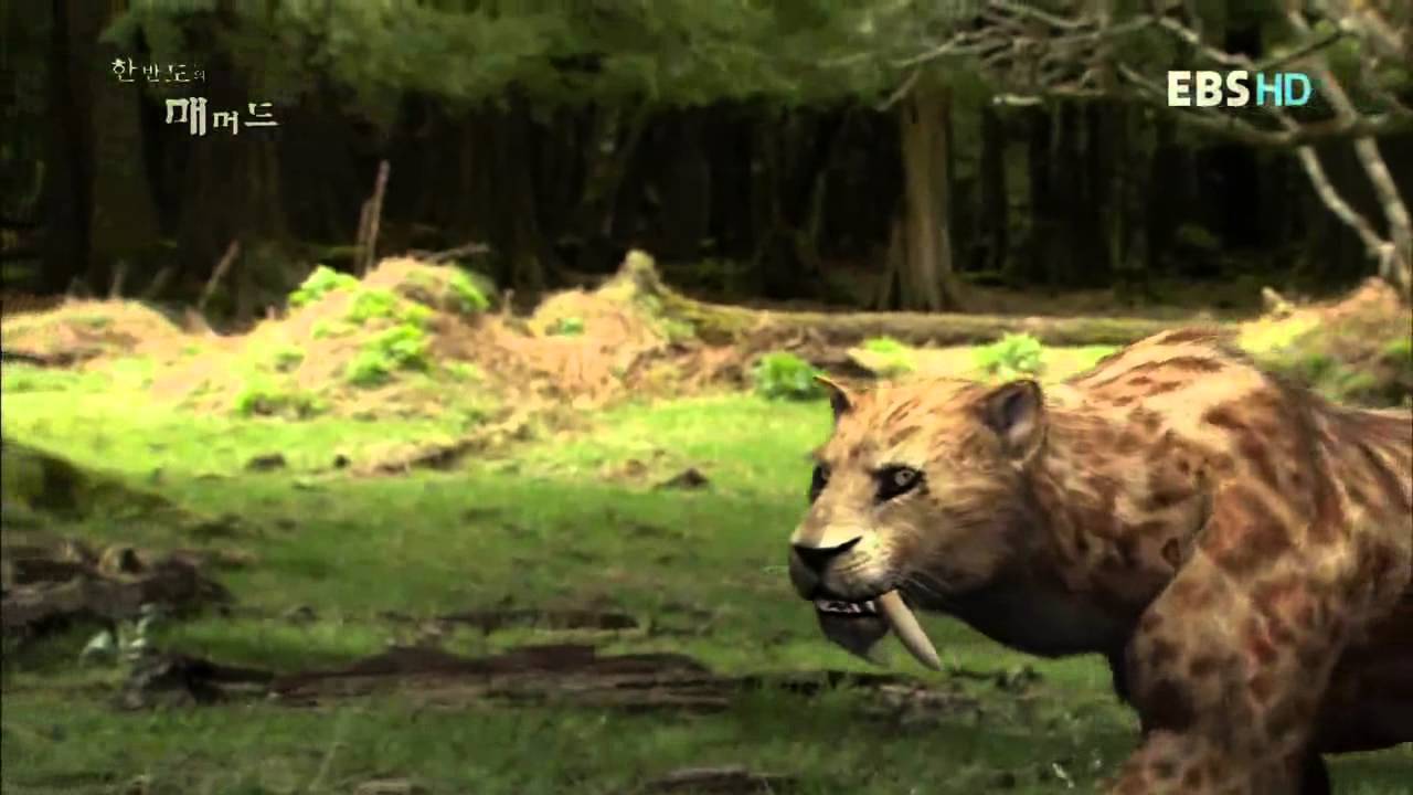 EBS 다큐프라임 - Docuprime_한반도의 매머드 1부_#003