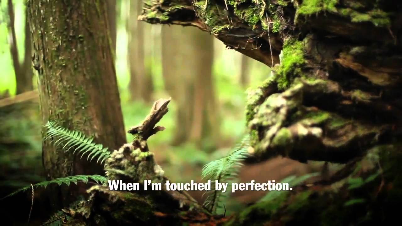 Porsche Compact SUV Called Macan