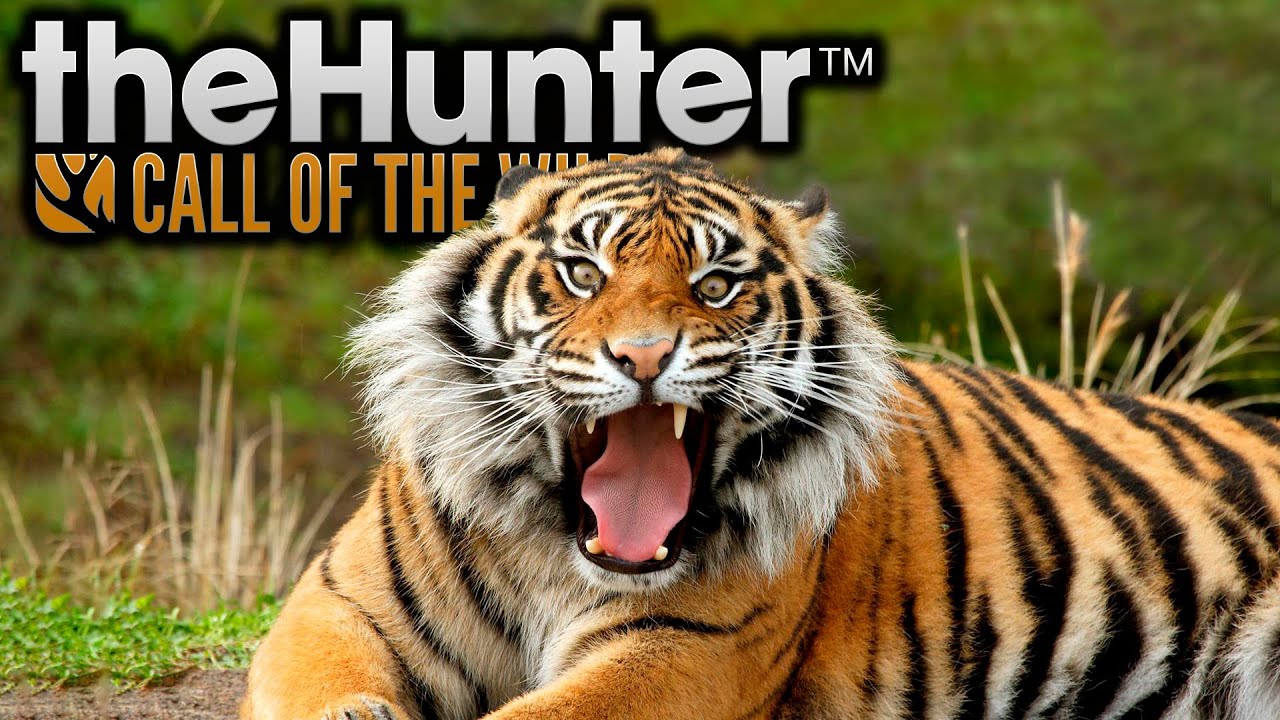 theHunter: Call of the Wild ► Sundarpatan Hunting Reserve - НОВАЯ КАРТА НЕПАЛ