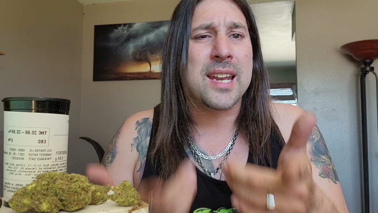 Dan's 420 Chronicles - Gelato Cake / Weed Review 4/30/21