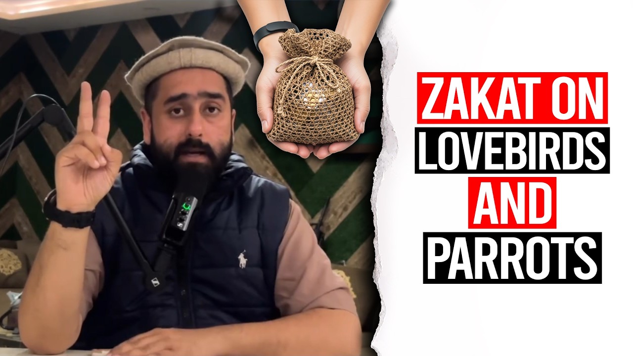 Zakat On Lovebirds & Parrots? 🦜🦜🦜