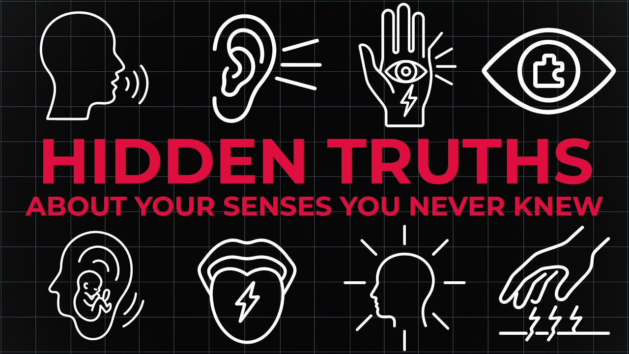 4 Hours of Hidden Truths About Your Senses You Never Knew