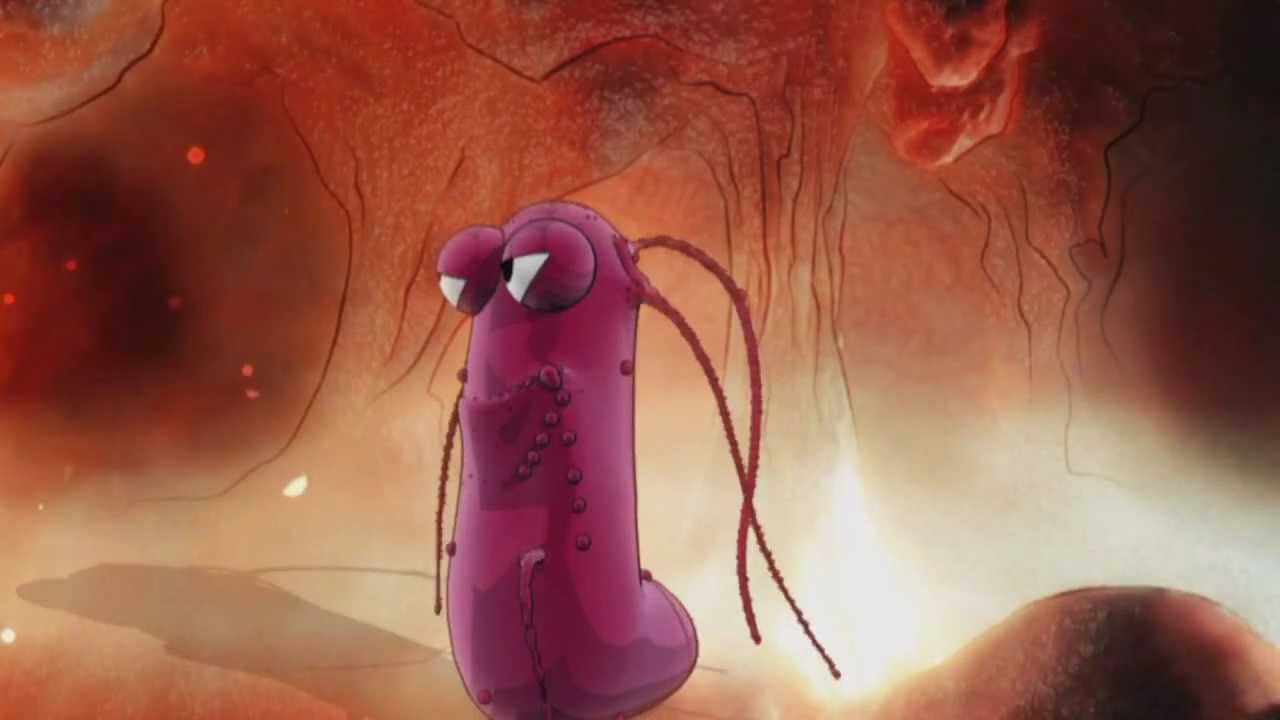 Les intoxications alimentaires