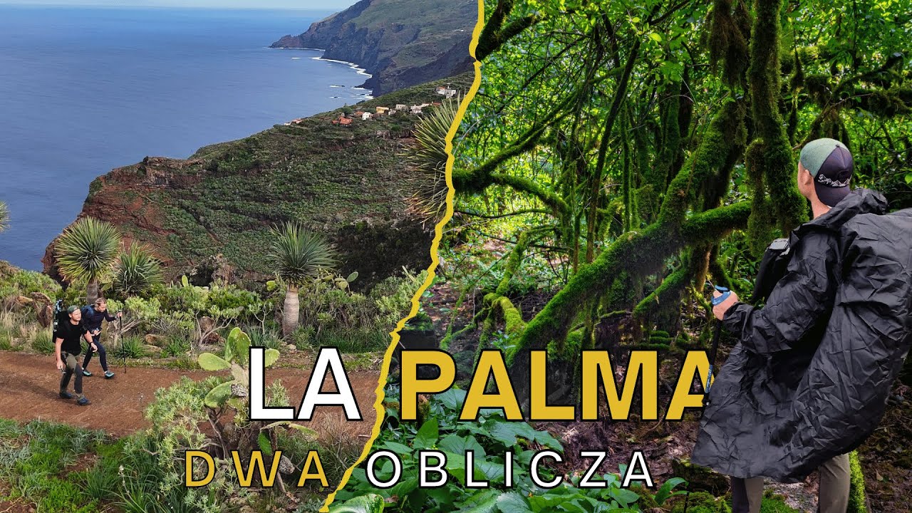 La palma 🌴🐍 Trekking w labiryncie bluszczu i potężne klify 🐉👣 La Zarza, Wyspy Kanaryjskie 🔭🏝️🌋