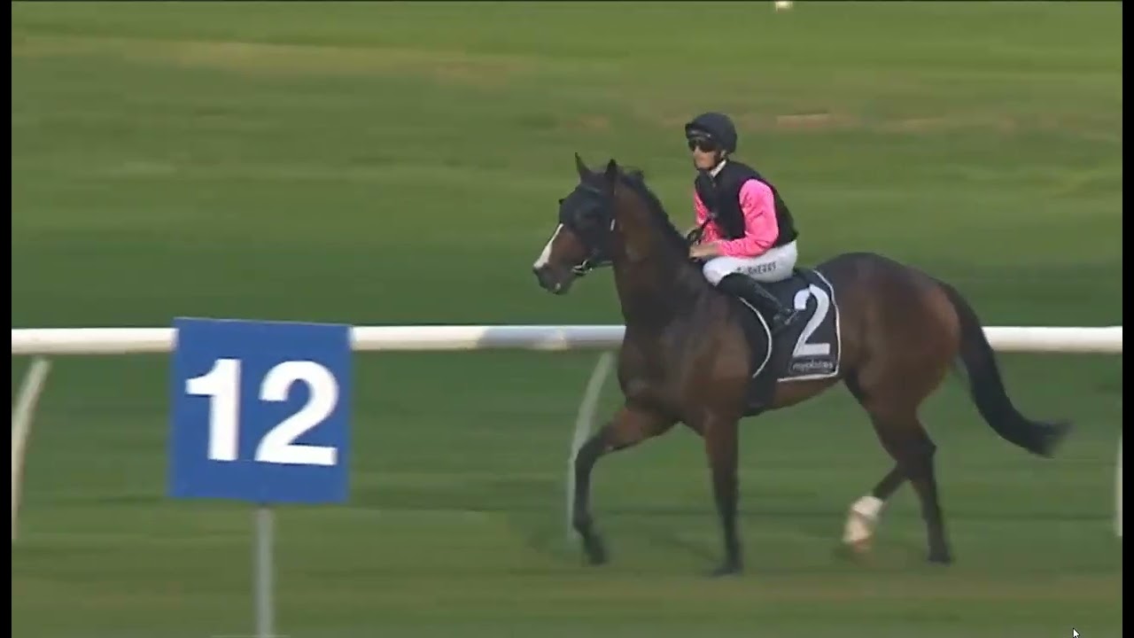 R4 CANTERBURY -AUSTRALIA 20 FEB 2026