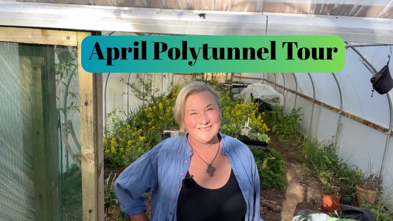 April Permaculture Polytunnel Tour