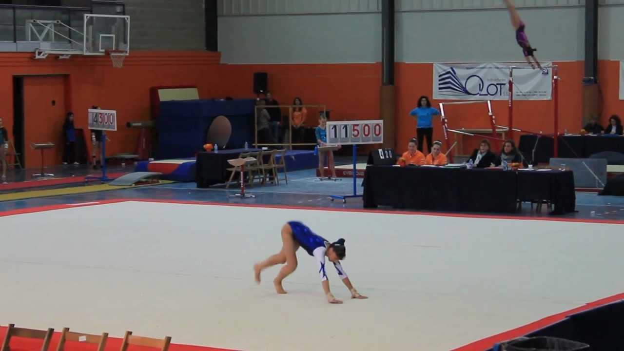 Laura Gamell - Terra (FX) - 2a fase GAF 2013 - Olot